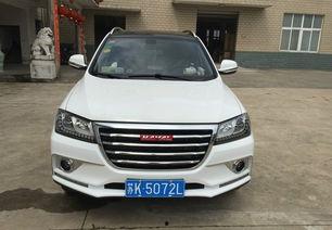 国产h2外观视频大全集