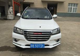 国产h2外观视频大全集,视频大全集深度解析