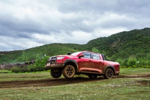 买国产越野皮卡全过程视频,从选车到提车，一探究竟